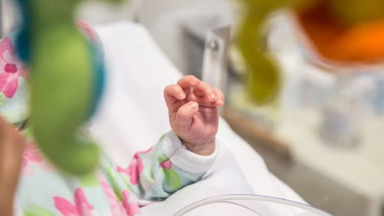 La obstetricia es una especialidad médica dedicada al cuidado de la mujer y del niño por nacer durante el embarazo, parto y puerperio. Foto: MDZ