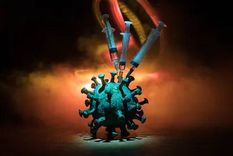 Las vacunas atacan directamente al coronavirus. Foto: SHUTTERSTOCK