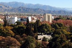 Imagen aérea de Mendoza con el arbolado como protagonista central. Foto: ALF PONCE MERCADO / MDZ