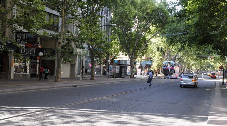 Foto: Alf Ponce / MDZ