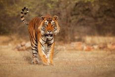 Foto ilustrativa Foto: shutterstock Foto ilustrativa Foto: shutterstock