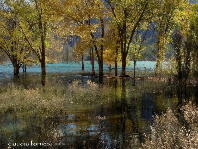 Foto: Claudia Fornés / Facebook