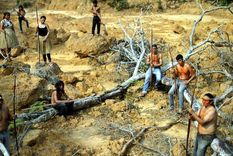 colapso de la civilizacion en 40 anos con 90% de posibilidad de exito