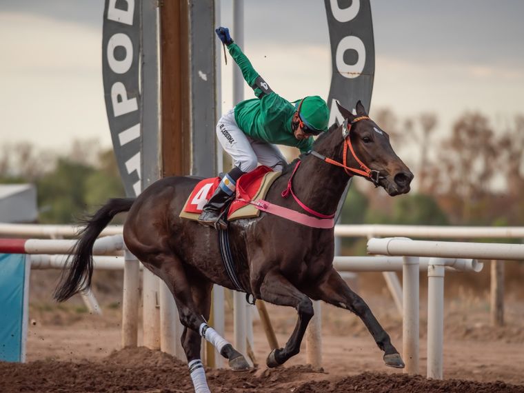 La zaina Ansinna es nuestra candidata en el clásico central de la jornada. Foto: Foto gentileza José Maluf