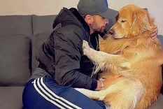 João Fantazzini había contratado el viaje de su perro, Joca, de cinco años y raza golden retriever, en un vuelo de la aerolínea Gol Foto: Instagram João Fantazzini