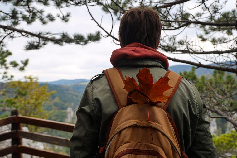 En el estudio se observó que, en condiciones similares a las de gran altitud, el organismo activa un mecanismo que hasta ahora había pasado inadvertido. En el estudio se observó que, en condiciones similares a las de gran altitud, el organismo activa un mecanismo que hasta ahora había pasado inadvertido.