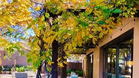 Fogón, de Bodega Lagarde.