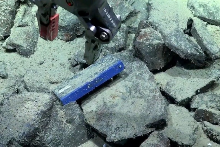 Científicos del Conicet encontraron un cassette VHS en el fondo del mar argentino.