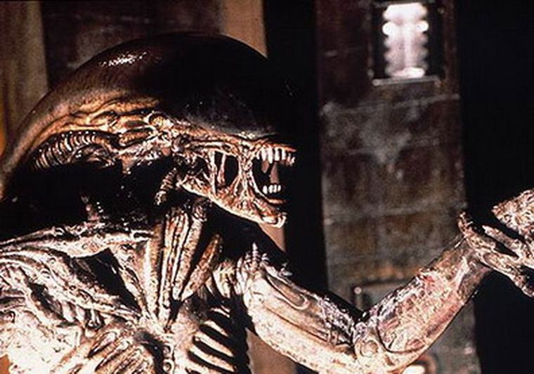 Foto: Diario El País