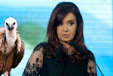 Foto: Cerro Mercedario