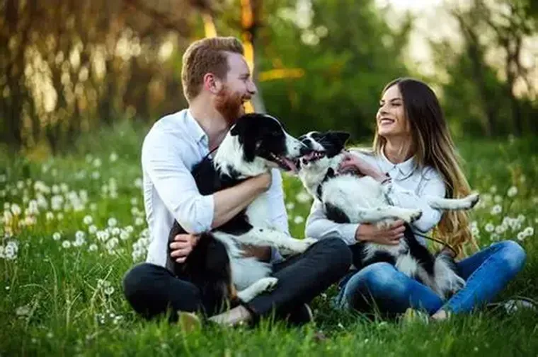 No se trata de negar el valor emocional que tienen las mascotas. No se trata de negar el valor emocional que tienen las mascotas.