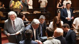 aprueban el fondo compensador ambiental, el primero del paquete enviado por el gobierno aprueban el fondo compensador ambiental, el primero del paquete enviado por el gobierno