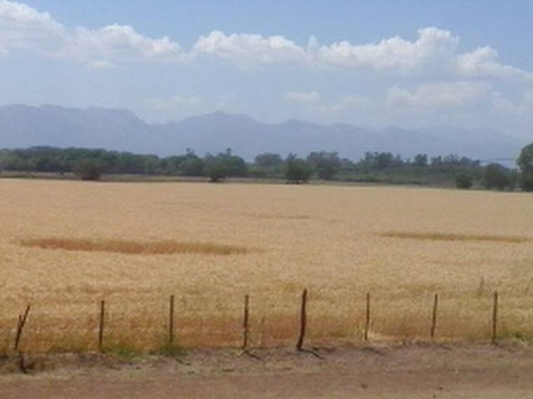 Foto: Publicada en La Gaceta