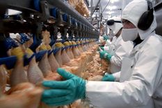 la oit pide reducir la disparidad salarial