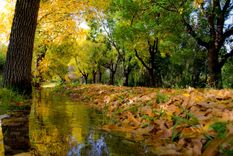 Esta villa se encuentra a minutos de San Rafael Foto: San Rafael Turismo