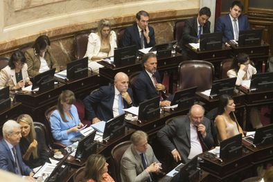 MDZol | Ley de Glaciares - Acuerdo Mercosur UE -Senadores (8)