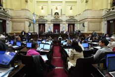 La oposición en el Senado busca voltear la reforma del DNU