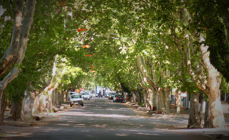 Foto: pilgrimsmendoza.com