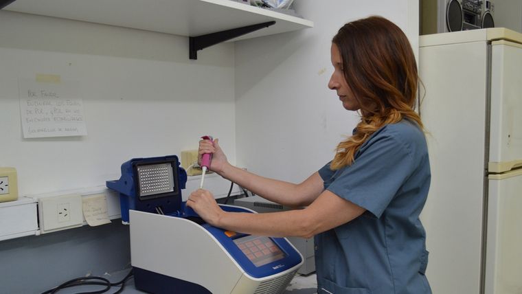 El equipo trabajó en colaboración con profesionales de un centro de salud en el caso de una paciente tratada hace muchos años con una enfermedad llamada amiloidosis. Foto: Conicet