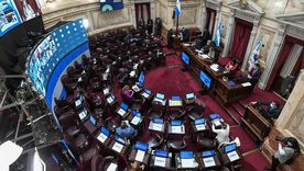 El Senado se prepara para discutir la ludopatía.