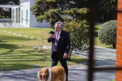 MDZol | Foto: Instagram Alberto Fernández