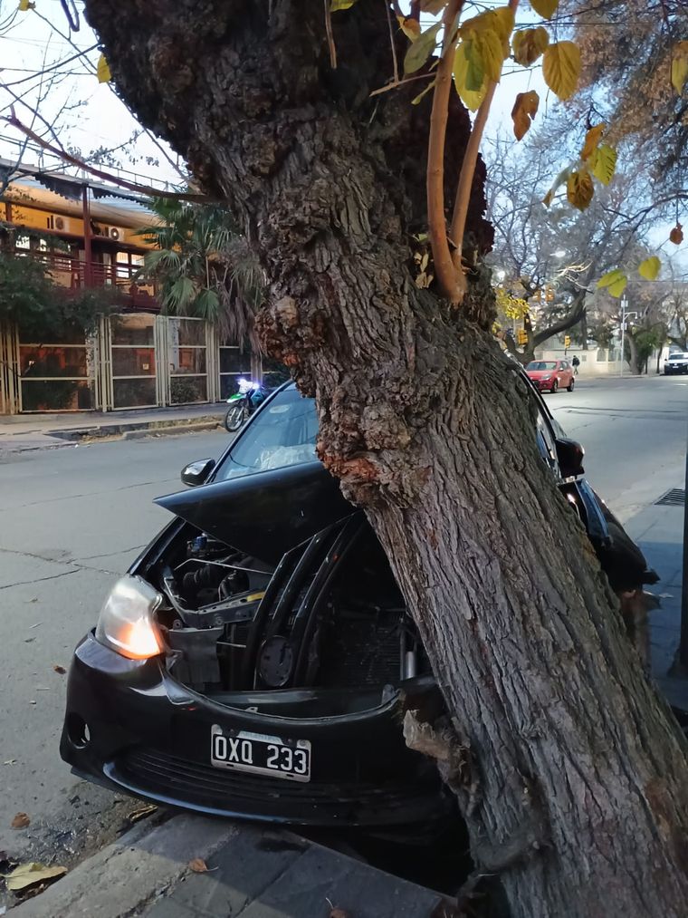 Quedó destruido el frente del vehículo siniestrado Quedó destruido el frente del vehículo siniestrado