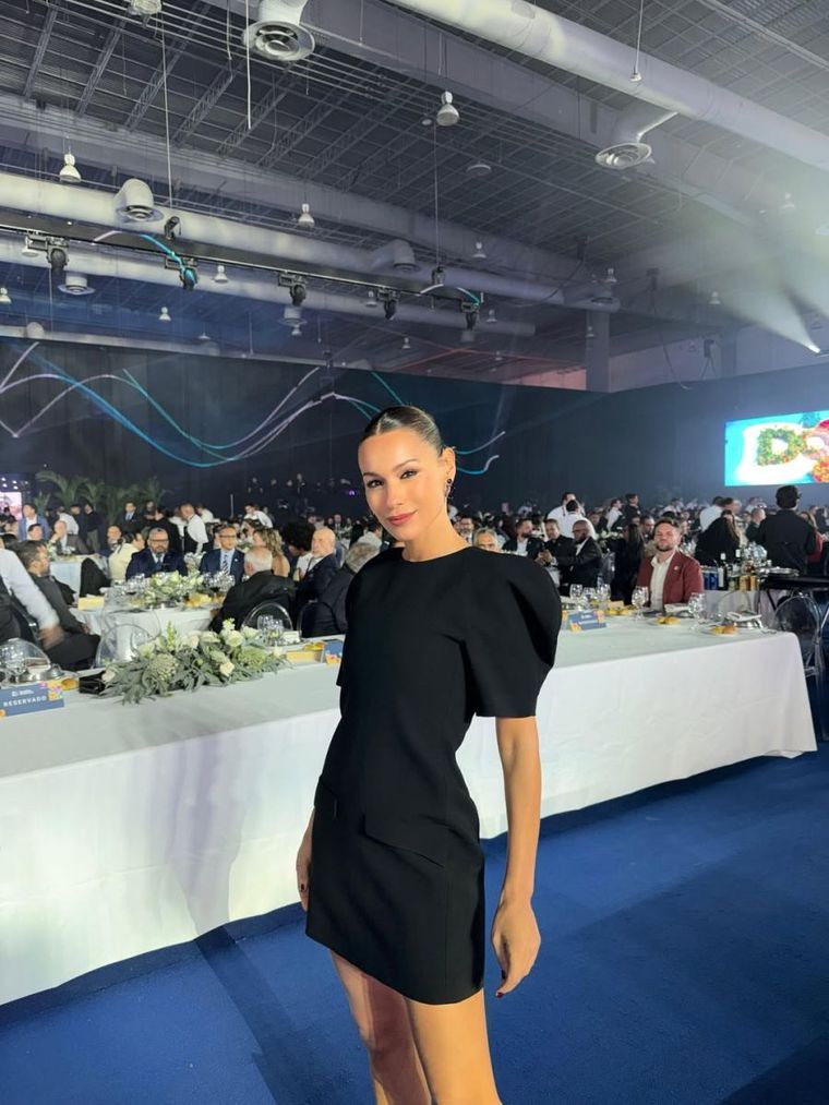 Un vestido con mangas acampanadas en un estilo sobrio y elegante. Un vestido con mangas acampanadas en un estilo sobrio y elegante.