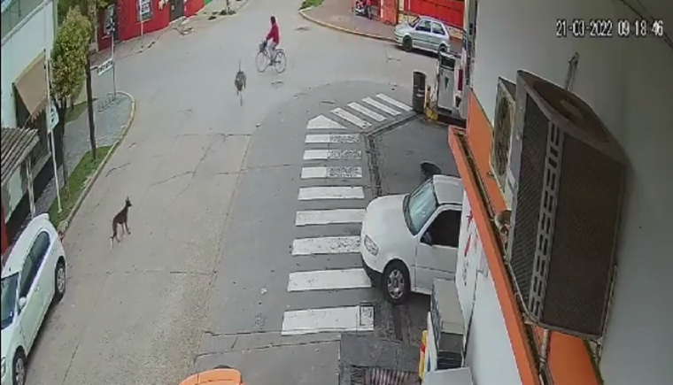 Los instantes previos al choque. Foto: Captura de video