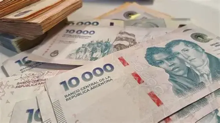 El crédito en pesos se mantuvo en 9,3% del PIB, incluyendo los préstamos en moneda extranjera.