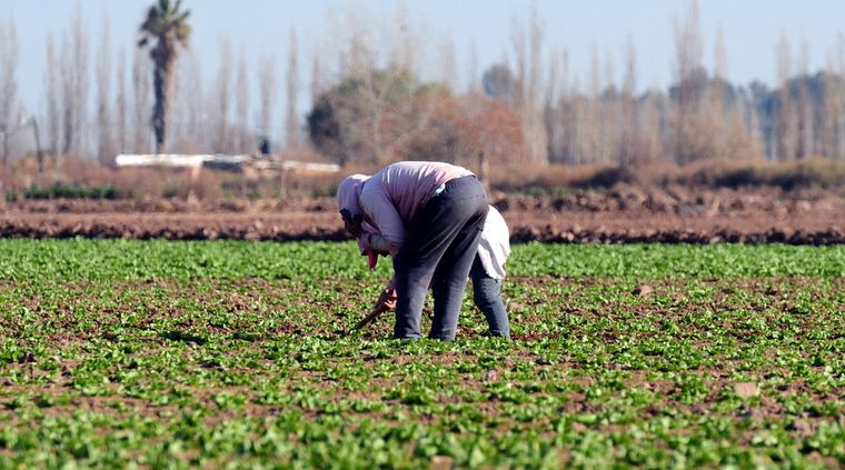 Foto: ALF PONCE MERCADO / MDZ