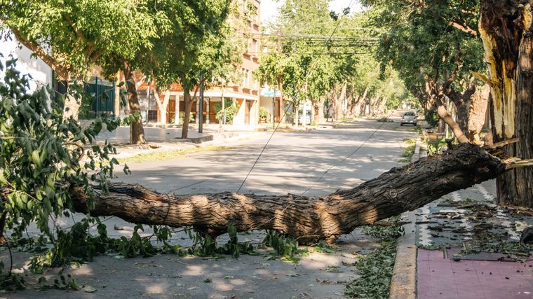 Se esperan fuertes ráfagas de Zonda para este lunes 30 de septiembre. Foto: Santiago Tagua/MDZ