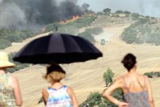 Los incendios forestales asolan los continentes en verano. Foto: DPA