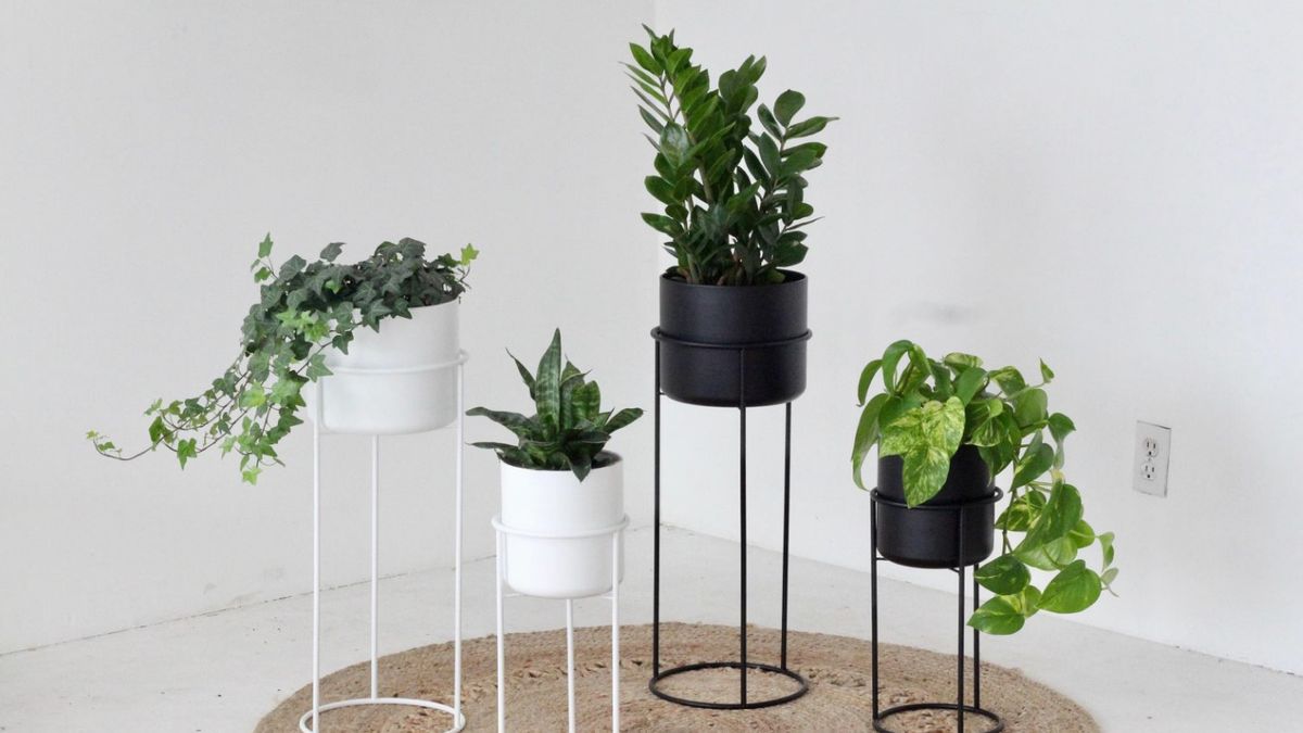 Adiós a las macetas de plástico: la tendencia que gana en los balcones