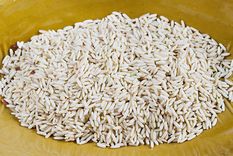Arroz