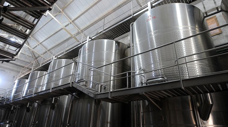 Mendoza podría aprovechar esta levadura en sus industrias vitivinícola y alimentaria. Mendoza podría aprovechar esta levadura en sus industrias vitivinícola y alimentaria.