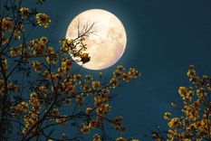 Este 11 de junio habrá Luna llena.