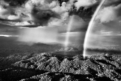 MDZol | Área de Tucuxim  de la reserva forestal de Parima (Brasil). Foto: instagram.com/sebastiaosalgadooficial