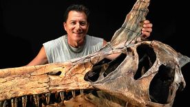 Así es el dinosaurio.