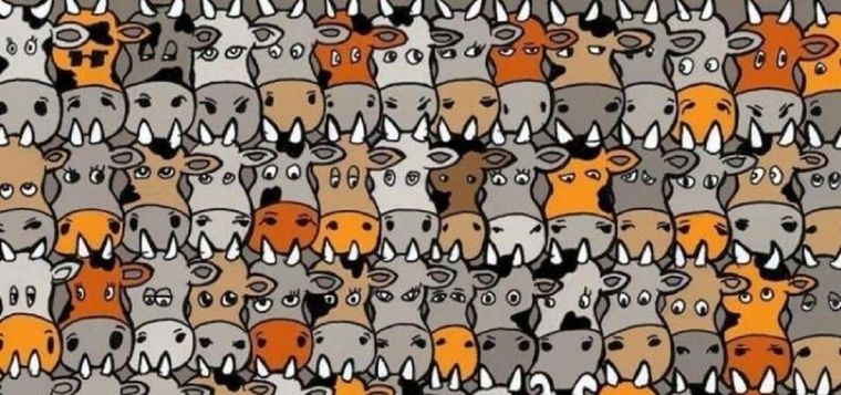 ACERTIJO VISUAL ACERTIJO VISUAL, RETO VISUAL, PERRO Foto: ARCHIVO