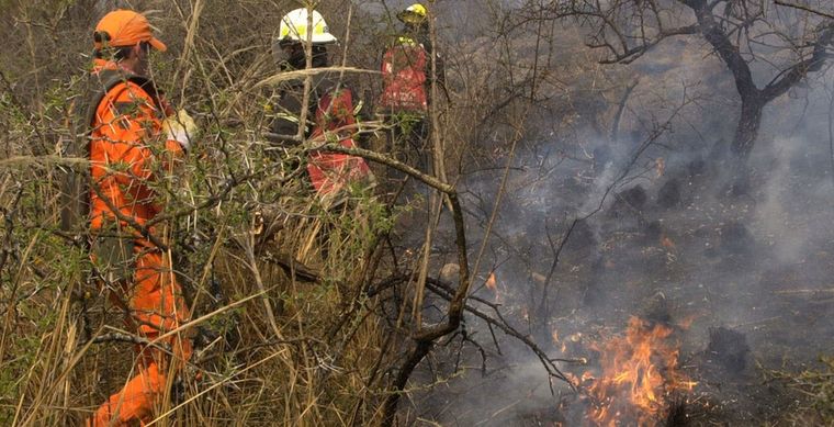 La fiscal Sandra Rojas encabeza la pesquisa para identificar a los responsables de los incendios en Cafayate, Salta,