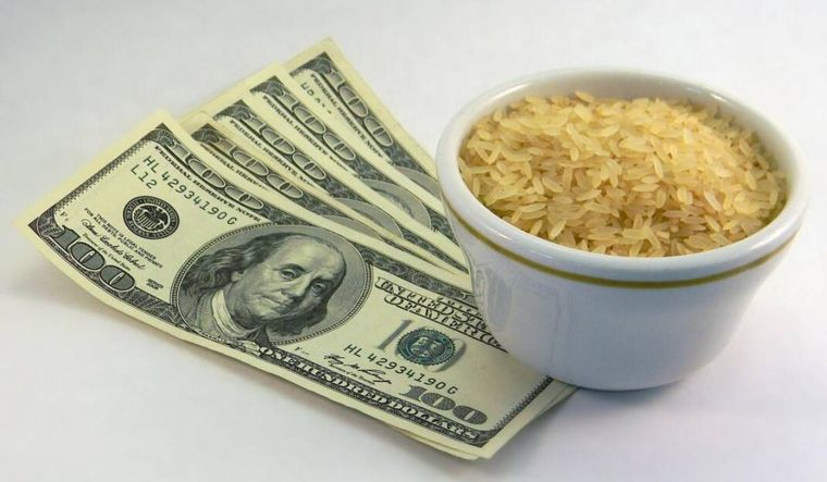 El ritual del arroz y el laurel, clave para atraer el dinero a tu vida (Foto: Shutterstock).