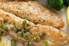 Merluza. Foto: Toast -  toastadventures.com