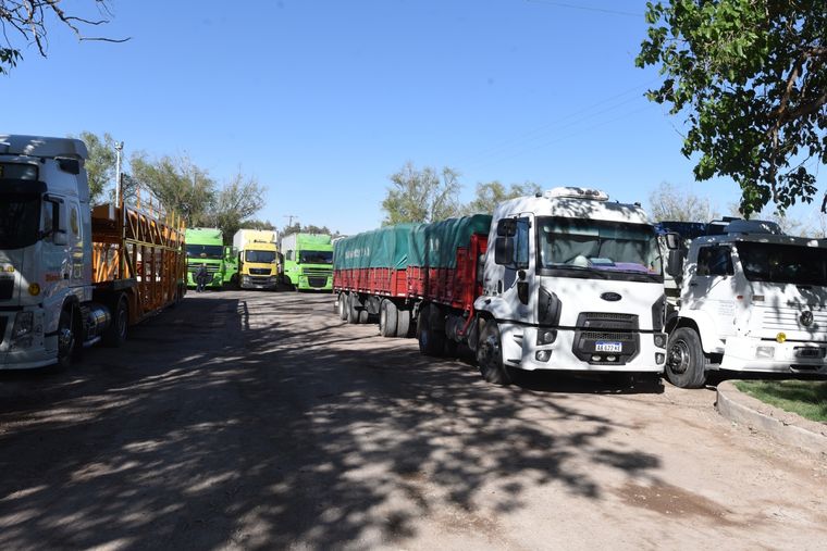 Foto: Foto: Alf Ponce/MDZ