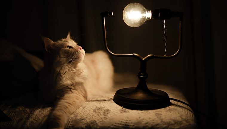 Los cortes de luz afectarán cinco departamentos. Foto: EFE