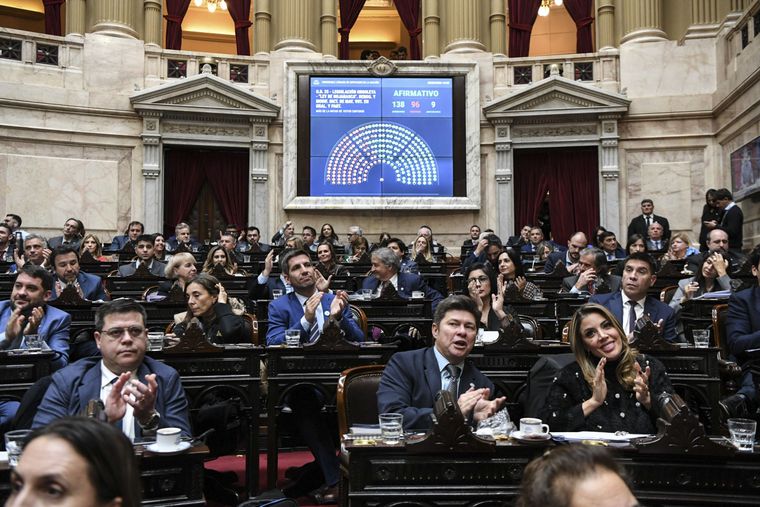 La Cámara de Diputados dio media sanción a la Ley Hojarasca.