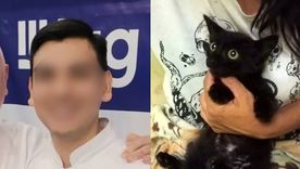 El asesino serial de gatos de Recoleta y Betún, una de sus víctimas.