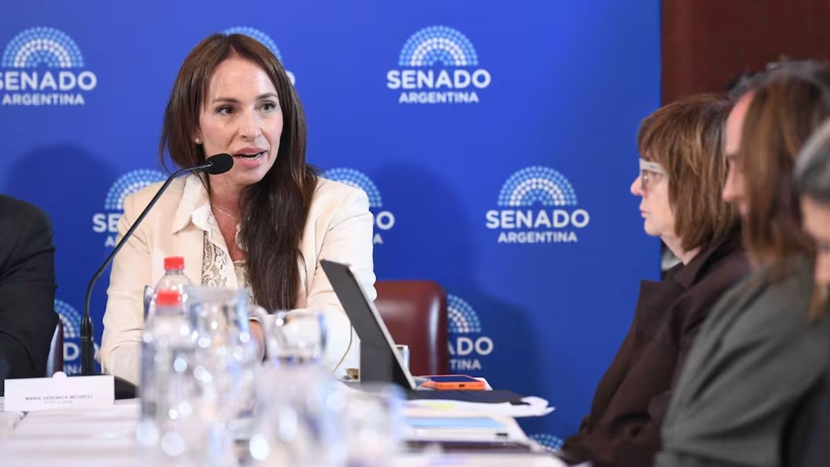 Tras el fuerte malestar interno, el Gobierno postergó el pliego de Verónica Michelli y no se tratará mañana en la sesión del Senado