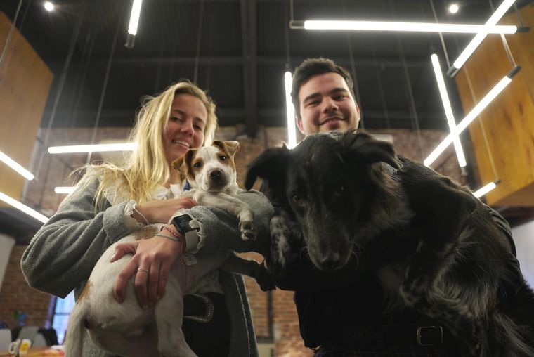 Sofía y Leandro llevan a sus mascotas a la oficina y puede volverse una tendencia para lograr mayor presencialidad de empleados