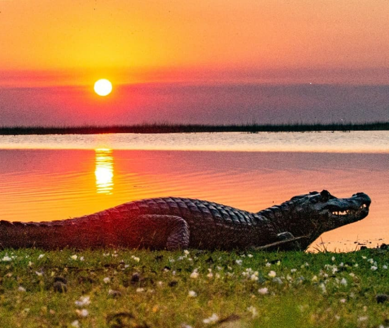La Argentina ostenta una serie de destinos que cumplen con todos los estándares de cuidado del medio ambiente. Foto: Facebook Parque Nacional Iberá