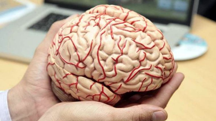 El experimento puede marcar rumbos interesantes a largo plazo. Foto: Durango.